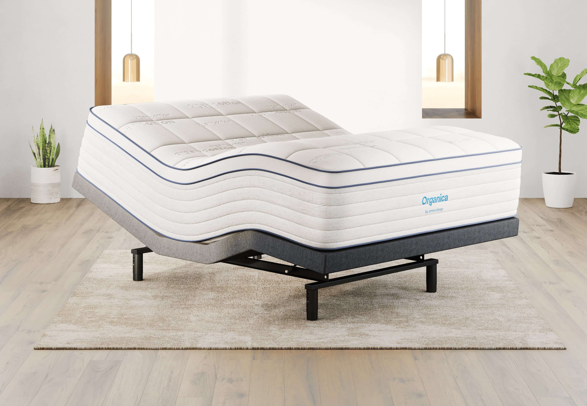 Organica Plush by Arketiomaq® 2